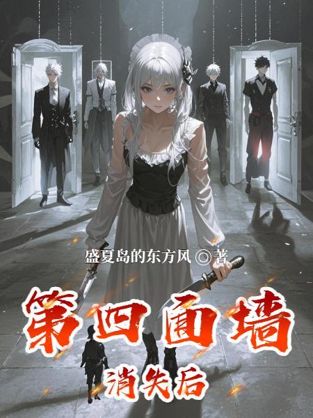 第四面墙gal