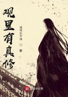 观中有真修