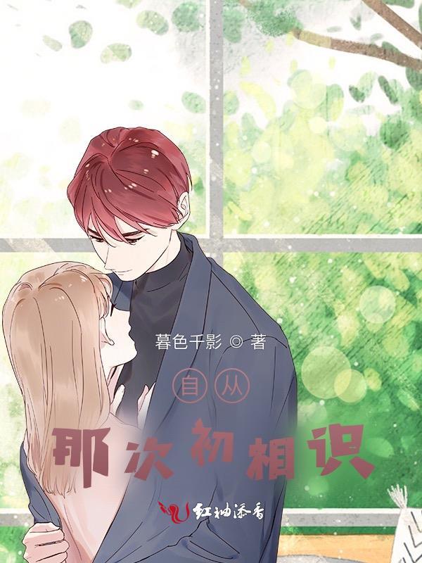 自从那次相遇后作文
