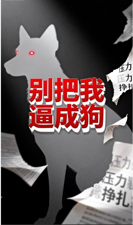 我只是看破不说破