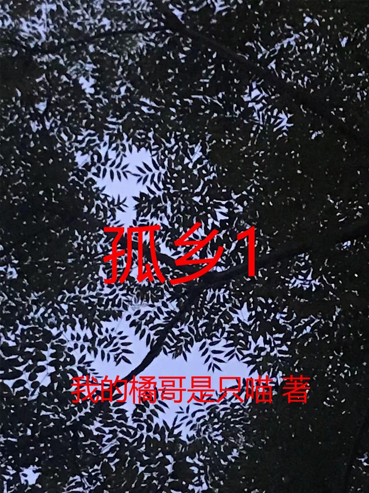 孤鳯全文
