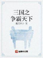 三国之谋定天下