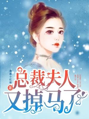 总裁 夫人又跑了